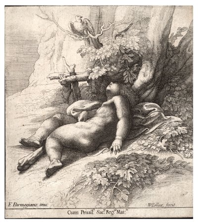 Infant Hercules Asleep, After Parmigianino (State 2) by Wenceslaus Hollar